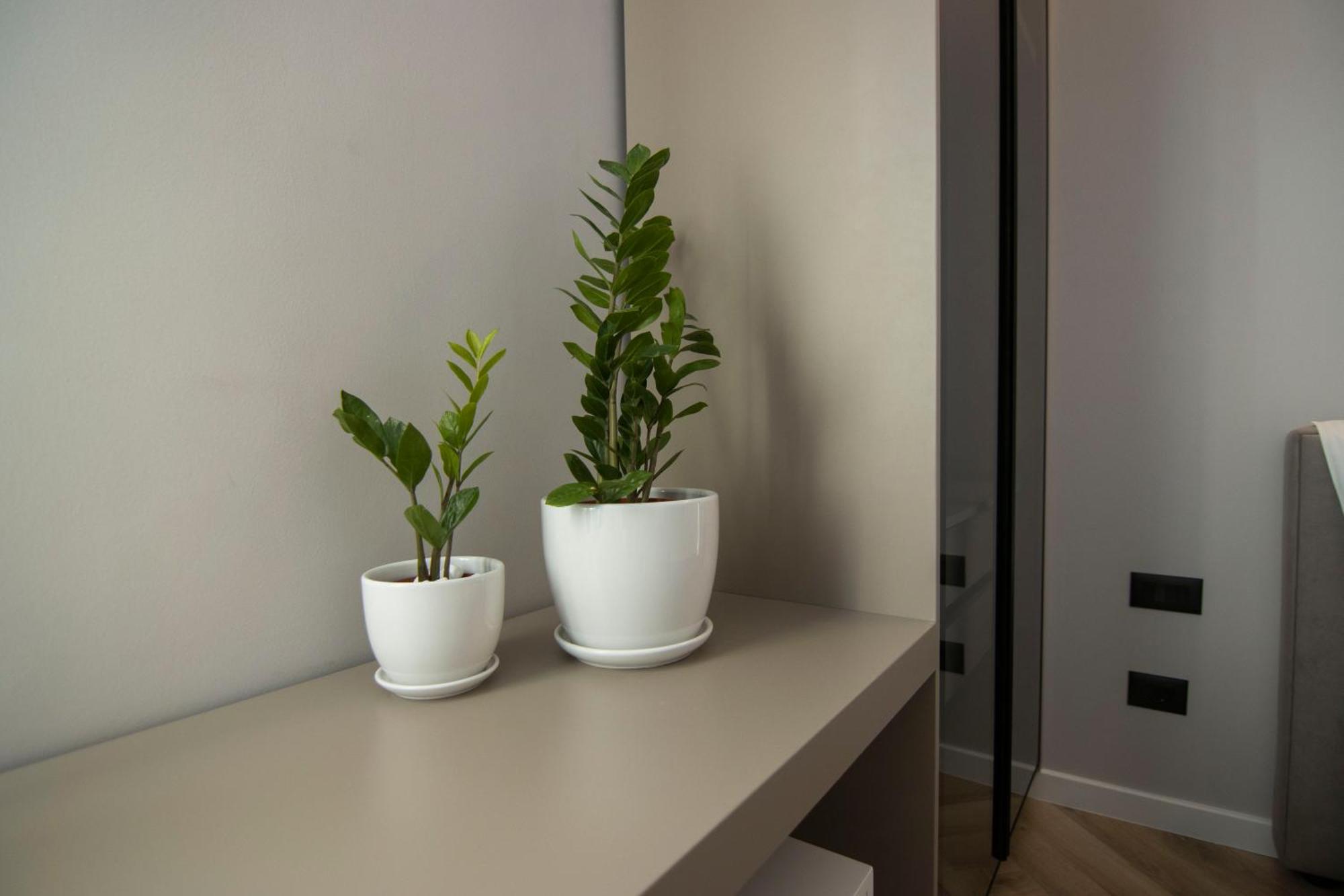 Mina Luxury Rooms Tiran Dış mekan fotoğraf